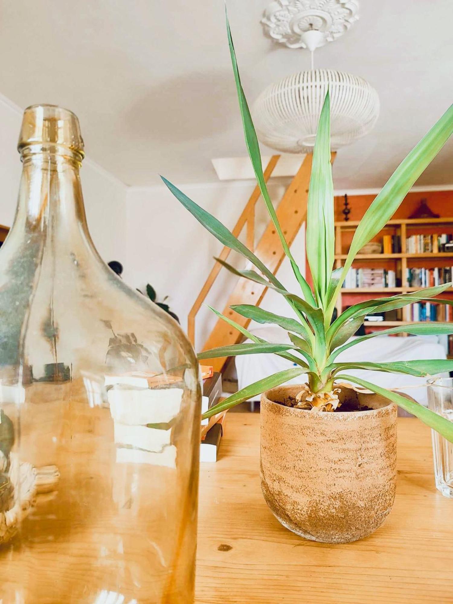 Apartmento Soma Aljezur Extérieur photo